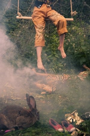 Disconnected Disconnected