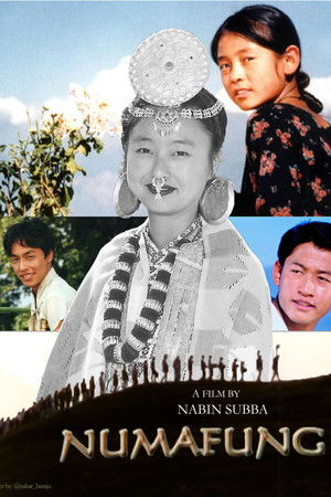 A Beautiful Flower A Beautiful Flower