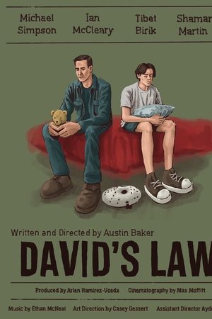 DAVID'S LAW DAVID'S LAW