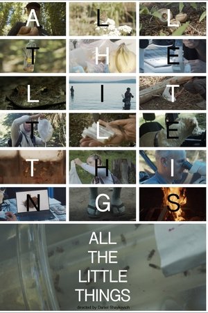 All the Little Things All the Little Things