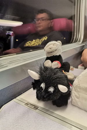 El monito se fue de viaje