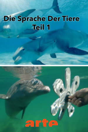 Die Eloquenz der Tiere (1/2)