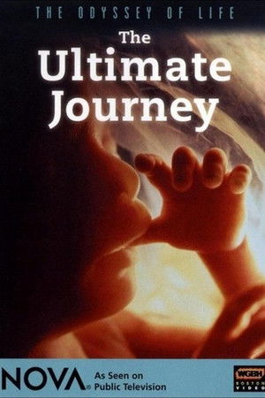 Odyssey of Life Odyssey of Life