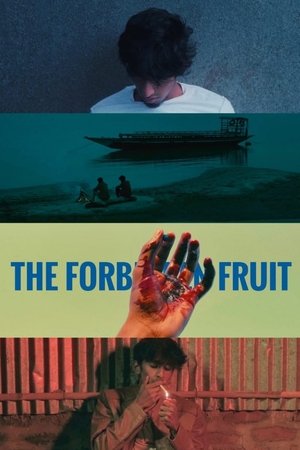 The Ballad Of Adam The Ballad Of Adam