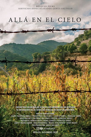 There in the Sky There in the Sky