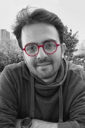 Babak Beigi