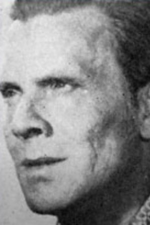 Aleksei Temerin