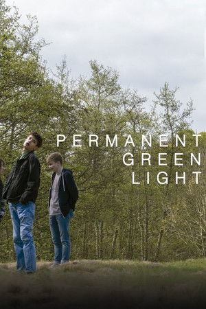 Permanent Green Light Permanent Green Light