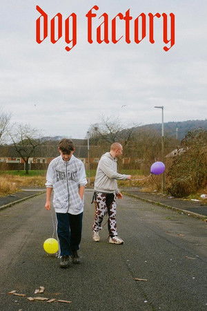 Dog Factory Dog Factory