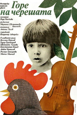 Up in the Cherry Tree Up in the Cherry Tree