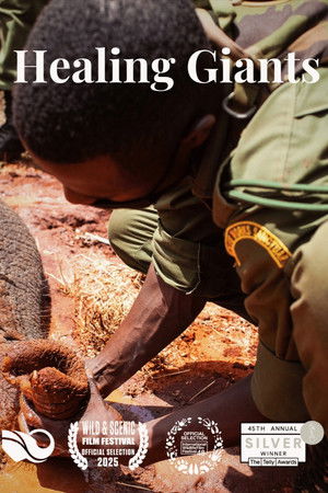 Healing Giants Healing Giants