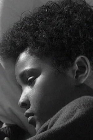 Dear Daughter Dear Daughter