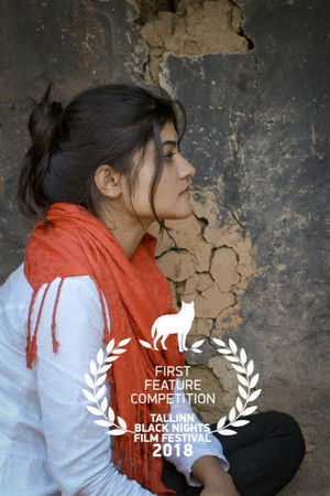 Hello Arsi Hello Arsi