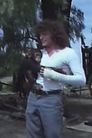 Fieras contra fieras Fieras contra fieras