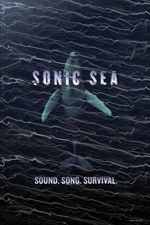 Sonic Sea Sonic Sea