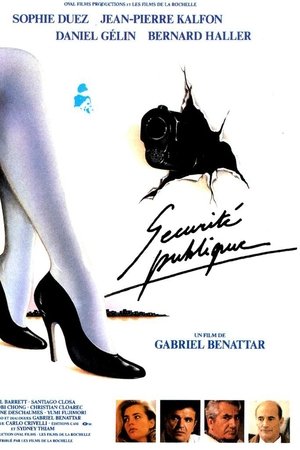 Public Security Public Security