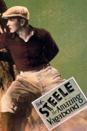 The Amazing Vagabond The Amazing Vagabond