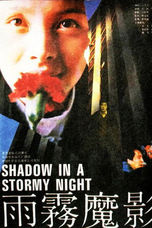 Shadow in a Stormy Night