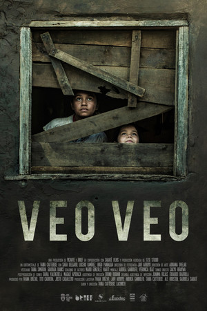 What Do You See? What Do You See?