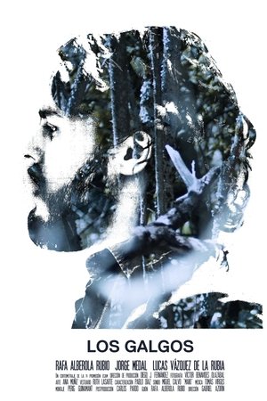 Greyhounds Greyhounds