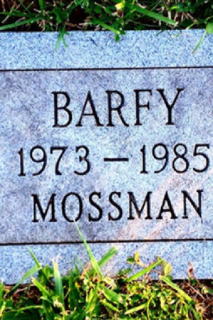 Julius Caesar Was Buried in a Pet Cemetery Julius Caesar Was Buried in a Pet Cemetery