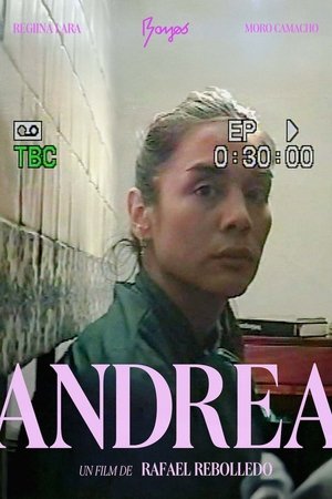 Andrea Andrea