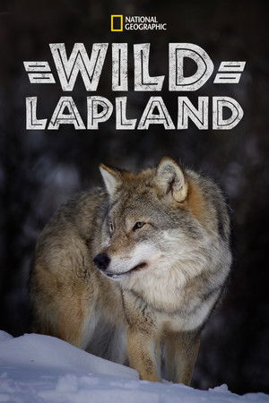 Wild Lapland Wild Lapland