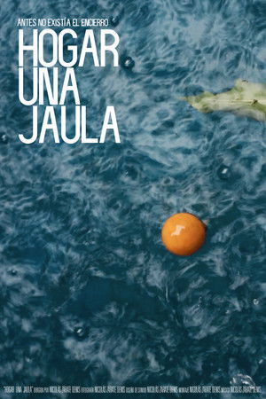 Home: a Cage Home: a Cage