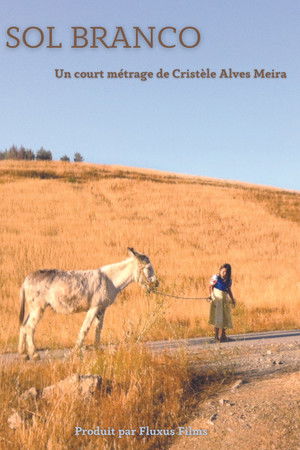 Sol Branco Sol Branco