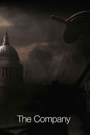 The Company The Company