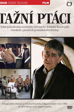 Tažní ptáci Tažní ptáci