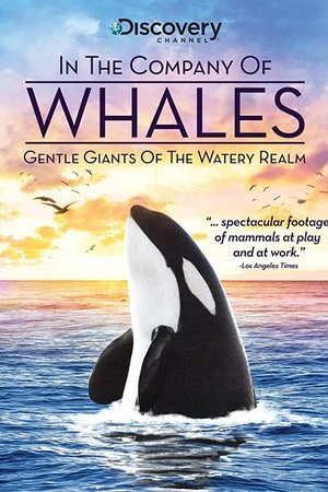 In the Company of Whales In the Company of Whales