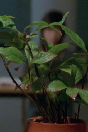 Deep or Quiet Deep or Quiet