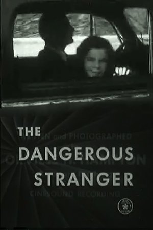 The Dangerous Stranger The Dangerous Stranger