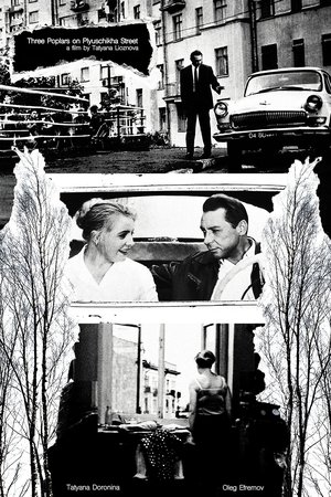 Three Poplars on Plyuschikha Street Three Poplars on Plyuschikha Street