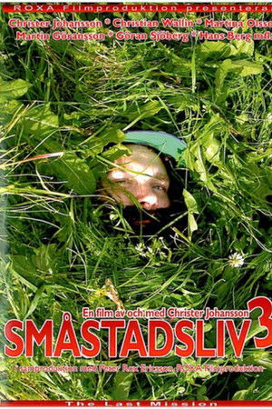 Småstadsliv 3