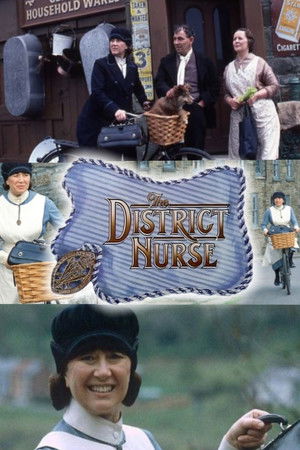 The District Nurse The District Nurse