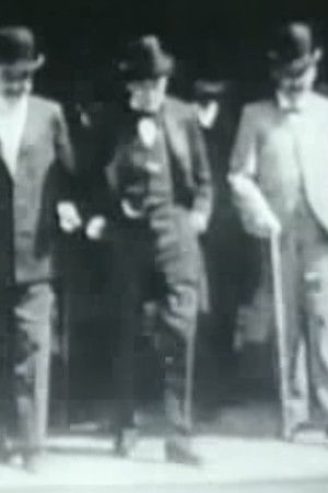 Bartolomé Mitre visita el Museo de Historia