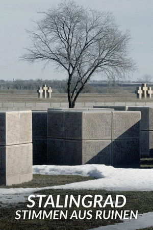 Stalingrad - Stimmen aus Ruinen Stalingrad - Stimmen aus Ruinen