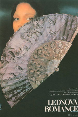 January Dream January Dream