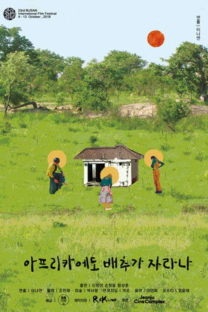 Do Cabbages Grow in Africa? Do Cabbages Grow in Africa?