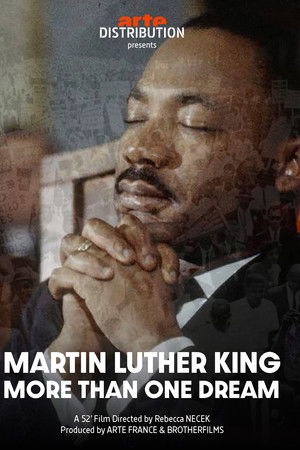 Martin Luther King: More Than One Dream