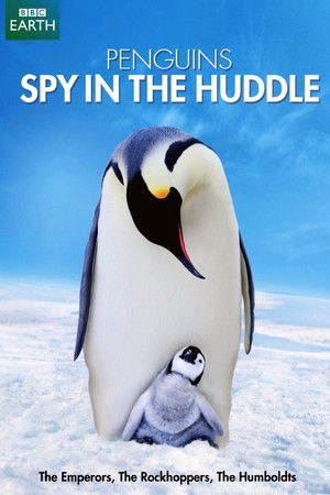 Penguins: Spy in the Huddle Penguins: Spy in the Huddle