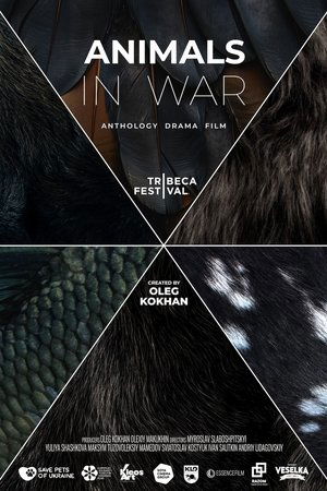Animals in War Animals in War