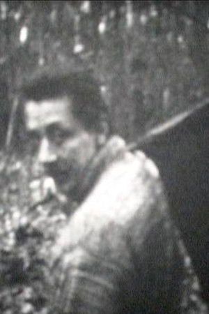 Kormányeltörésben