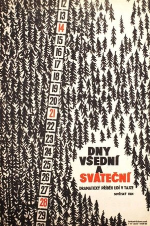 Weekdays and Holidays Weekdays and Holidays