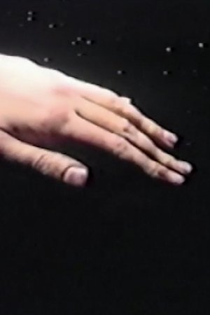 The Black Hole The Black Hole