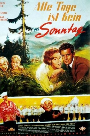 Everyday's not Sunday Everyday's not Sunday