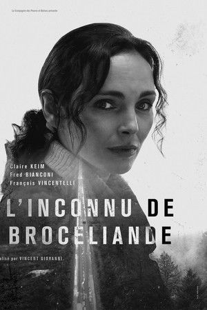 Murder in Brocéliande