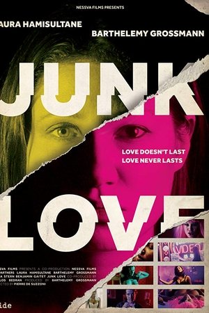 Junk Love Junk Love